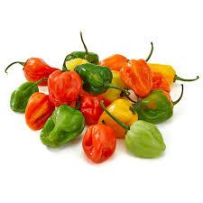 Habanero Chilies