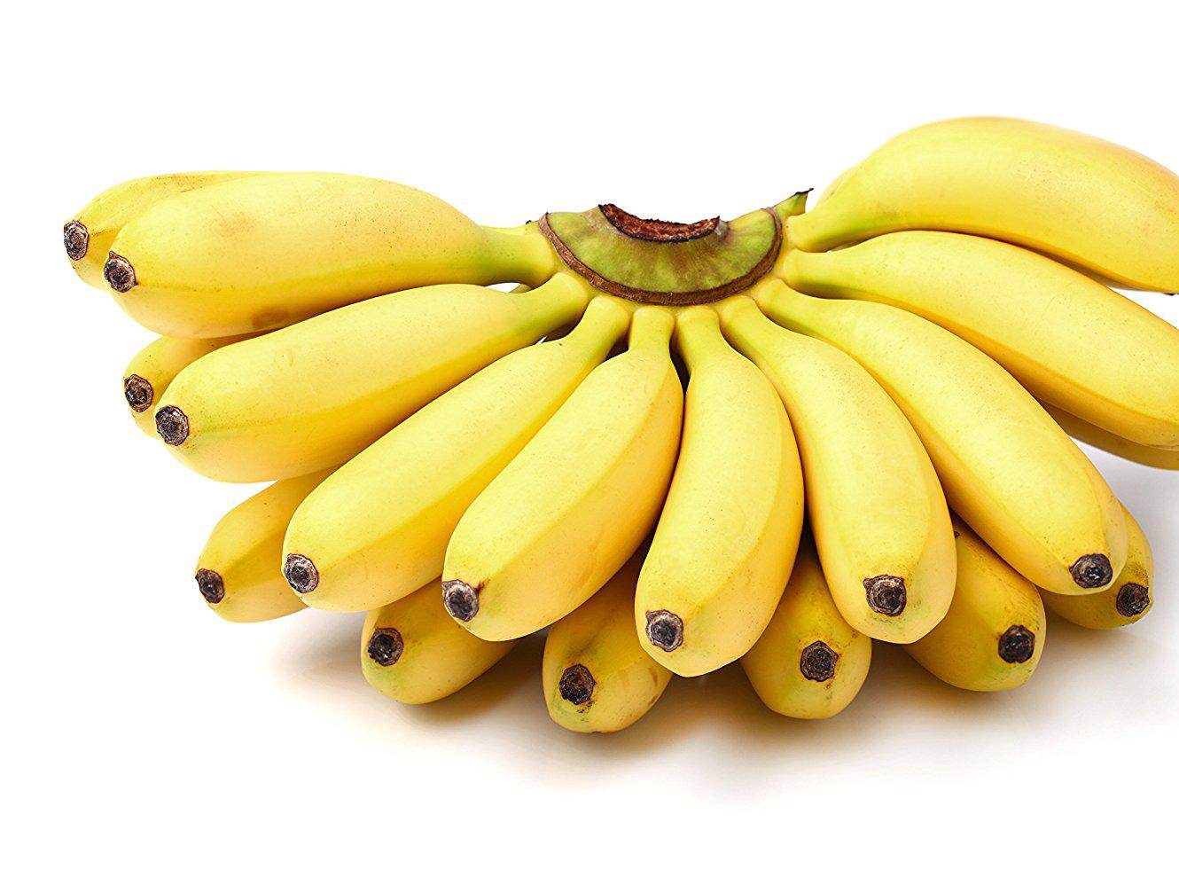Small Sweet bananas
